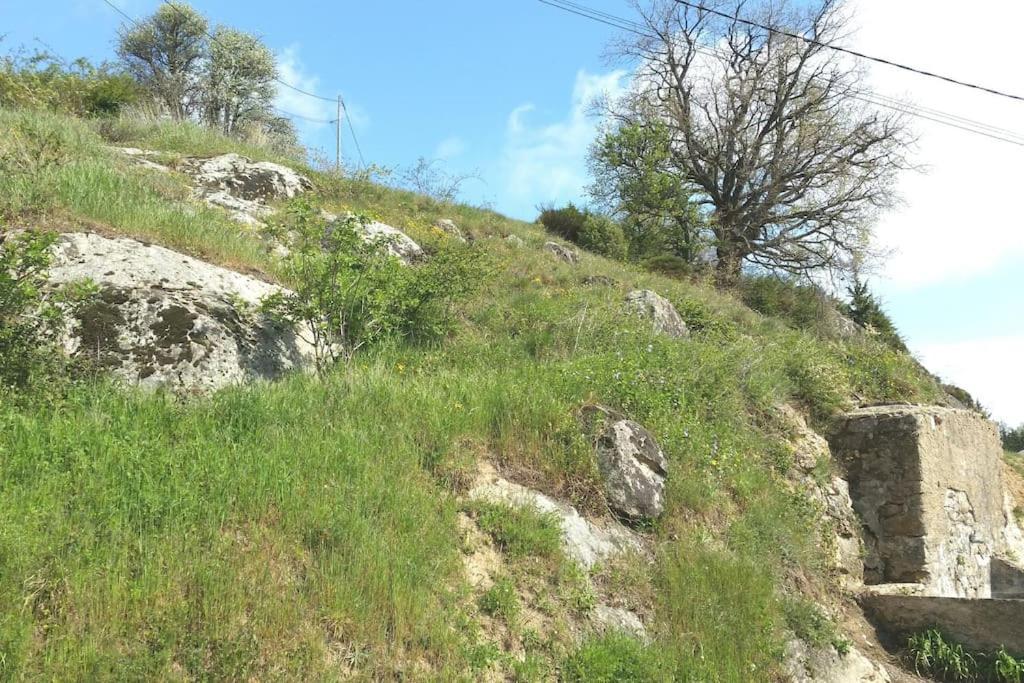 Gite Les Cadichons De La Grange Saint-Péray Εξωτερικό φωτογραφία